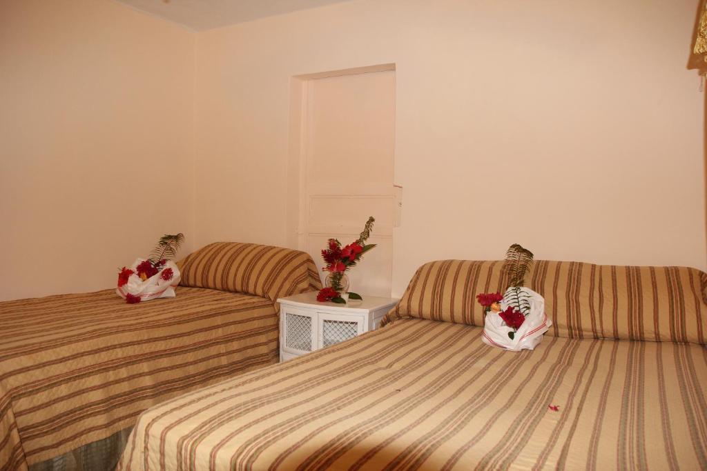 Executive Shaw Park Guest House Ocho Rios Rum bild