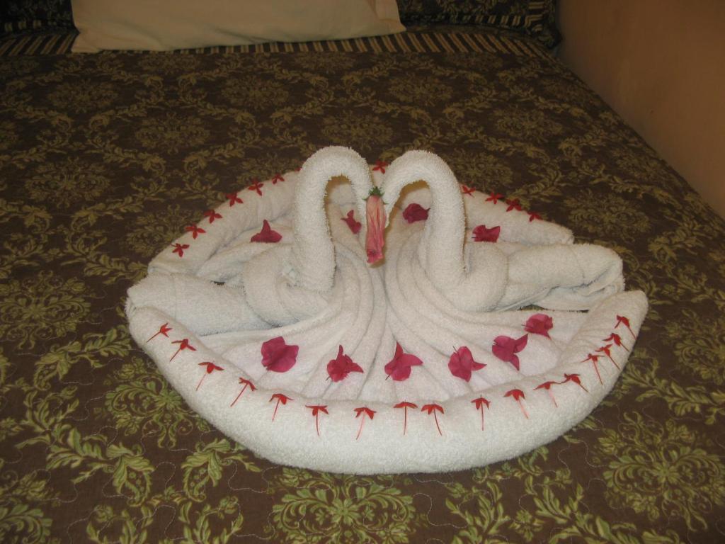 Executive Shaw Park Guest House Ocho Rios Exteriör bild