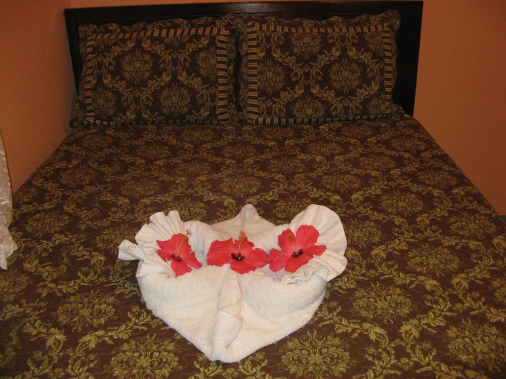 Executive Shaw Park Guest House Ocho Rios Exteriör bild