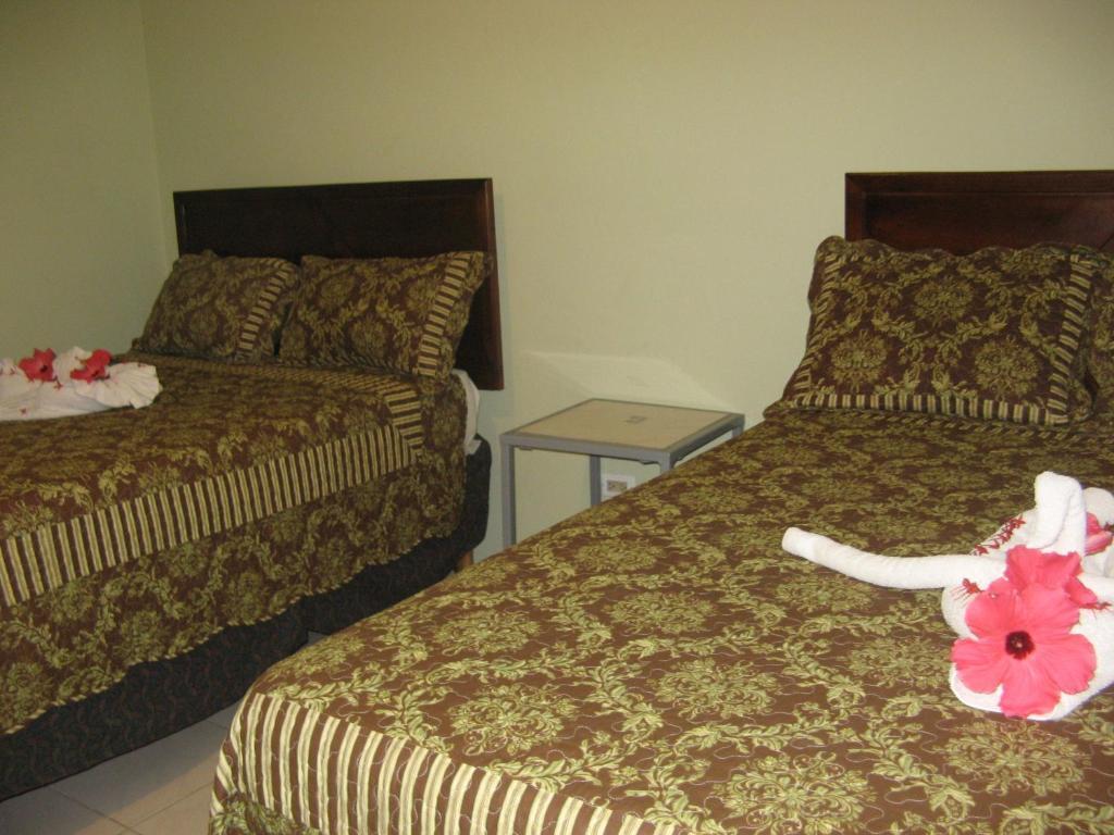 Executive Shaw Park Guest House Ocho Rios Rum bild